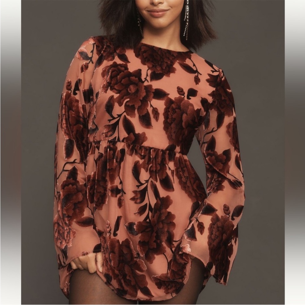 Anthropologie velour detail tunic